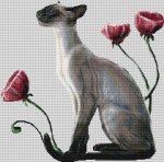 (image for) Oriental Poppies (Cat)